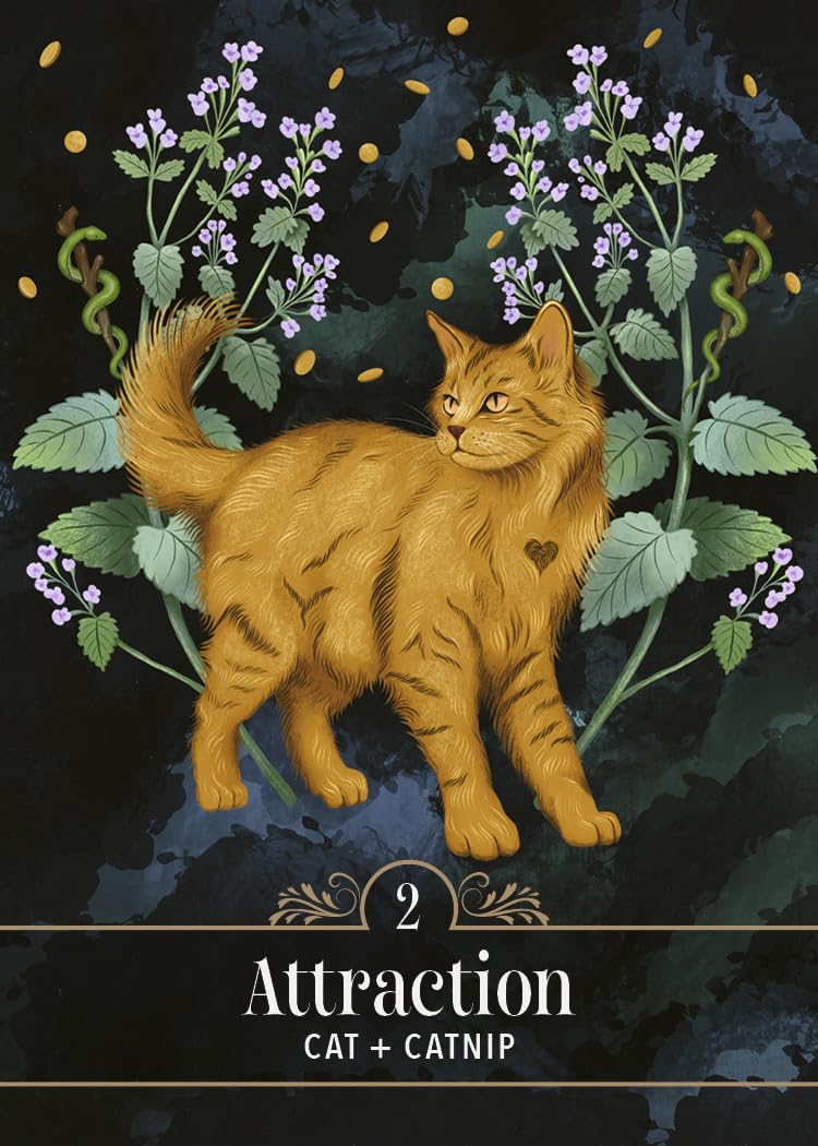 Illustration of a cat surrounded by plants with 'Attraction' text at the bottom.