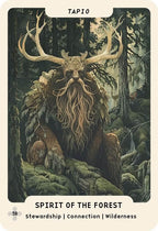 Card featuring a bearded creature with antlers in a forest, labeled 'Spirit of the Forest'.