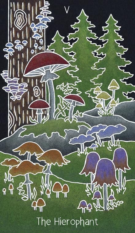 Illustration of mushrooms and trees with 'The Hierophant' text on a dark background