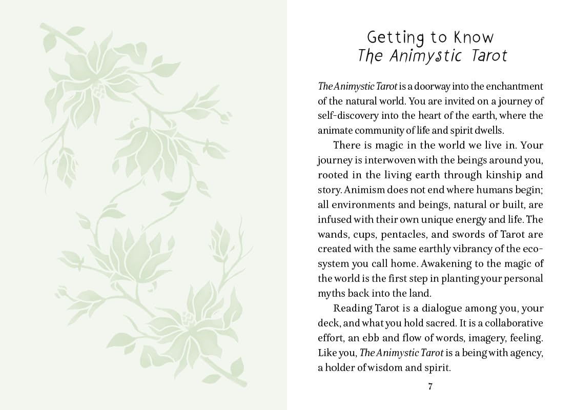 Introduction to The Animystic Tarot with text and floral design on a white background