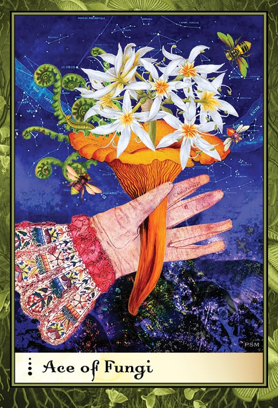 Card titled 'Ace of Fungi' featuring a hand holding a mushroom with flowers against a starry night sky.