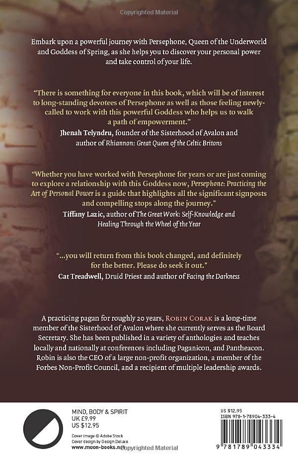 The back cover of a book titled 'The Great Work of Self-Knowledge and Healing Through the Soul Journey' by Robin Coles. The cover features a dark, textured brown background with several glowing text testimonials in white, a black and white circular logo at the bottom left, and a barcode at the bottom right.
