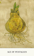 Card featuring a pentacle symbol with roots on a textured beige background, labeled 'Ace of Pentacles'.