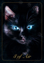 Card featuring a cat with glowing blue eyes and the text '8 of Air' on a dark background.