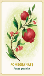 A botanical-style label or card showing a pomegranate branch with two red fruits, green leaves, and small pink flowers on an off-white background, with the text 'POMEGRANATE' and 'Punica granatum' below.