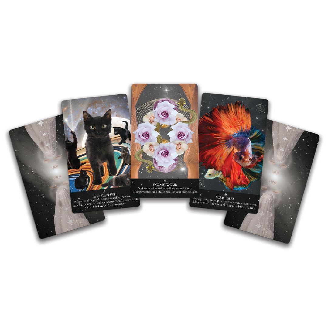Set of tarot cards with various designs including a black cat, flowers, and a fish.