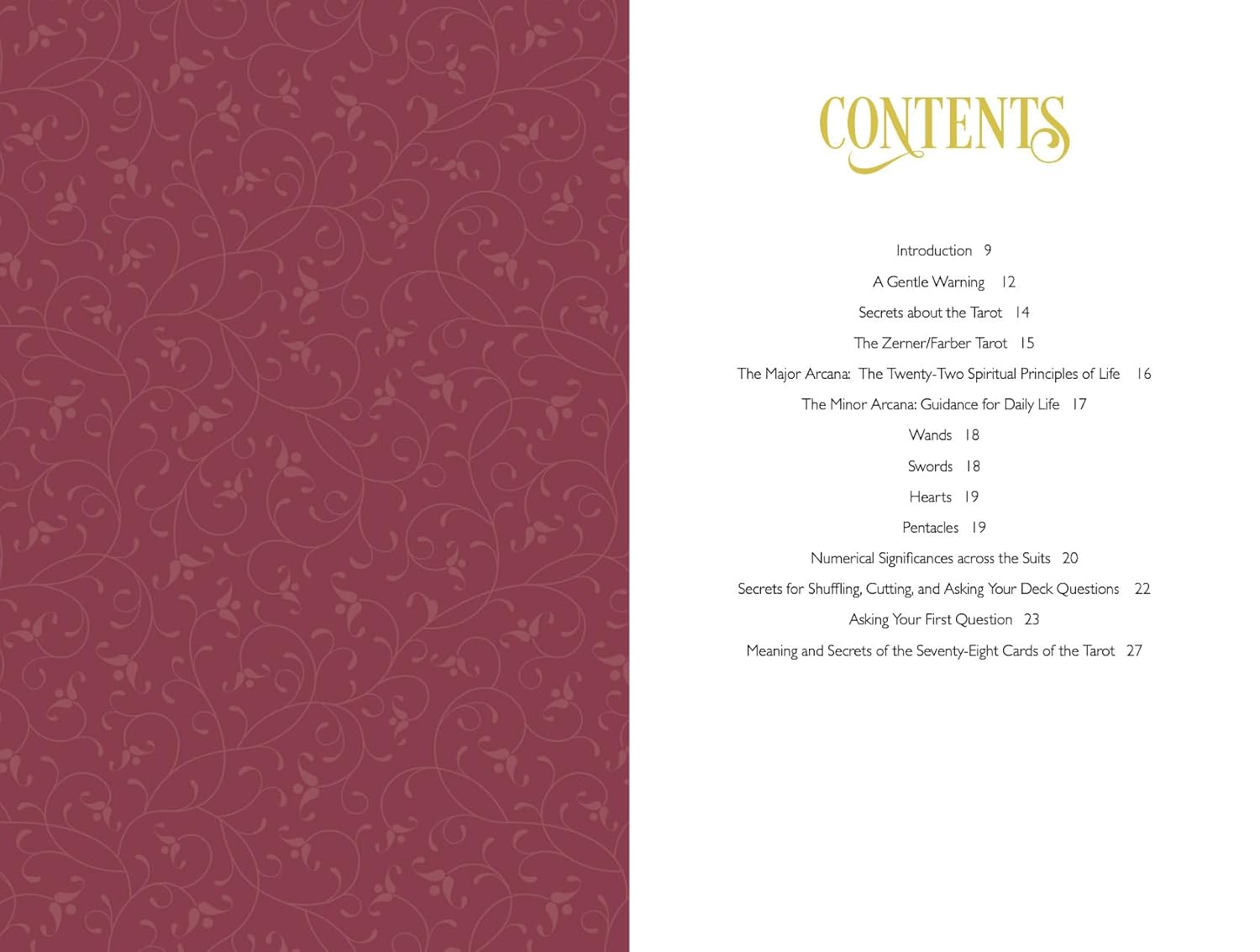 Table of contents page with a maroon patterned left side and white text on the right.
