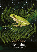 Illustration of a frog on ferns with raindrops, labeled 'Cleansing'.