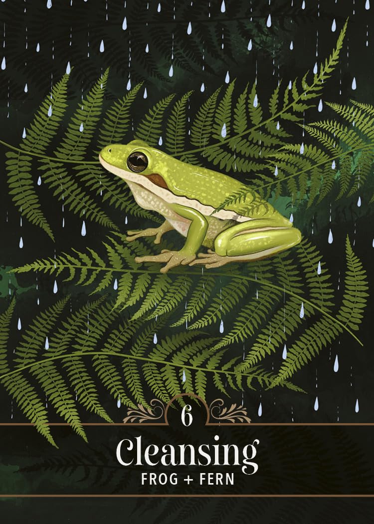 Illustration of a frog on ferns with raindrops, labeled 'Cleansing'.