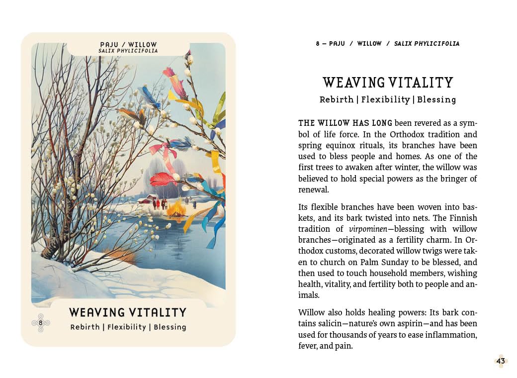 Card with winter scene illustration and text about willow trees