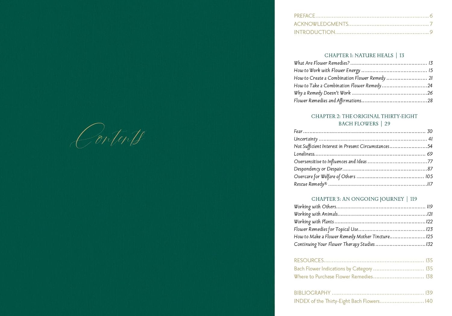 Table of contents page with a green background and white text.