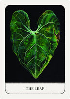 A tarot card titled 'THE LEAF' featuring a vibrant green heart-shaped leaf on a black background, framed by a white card border.