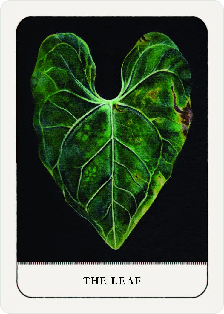 A tarot card titled 'THE LEAF' featuring a vibrant green heart-shaped leaf on a black background, framed by a white card border.