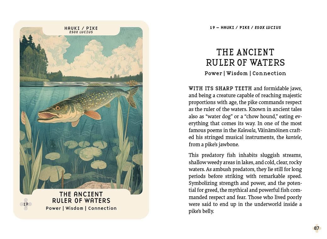 Card featuring an illustration of a fish in water with text on the right side.