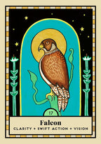 A stylized tarot card illustration featuring a brown falcon with patterned feathers inside a turquoise arch on a black starry background. The card has a cream border, decorative green plants on both sides, and the text 'Falcon' with 'CLARITY + SWIFT ACTION + VISION' at the bottom.