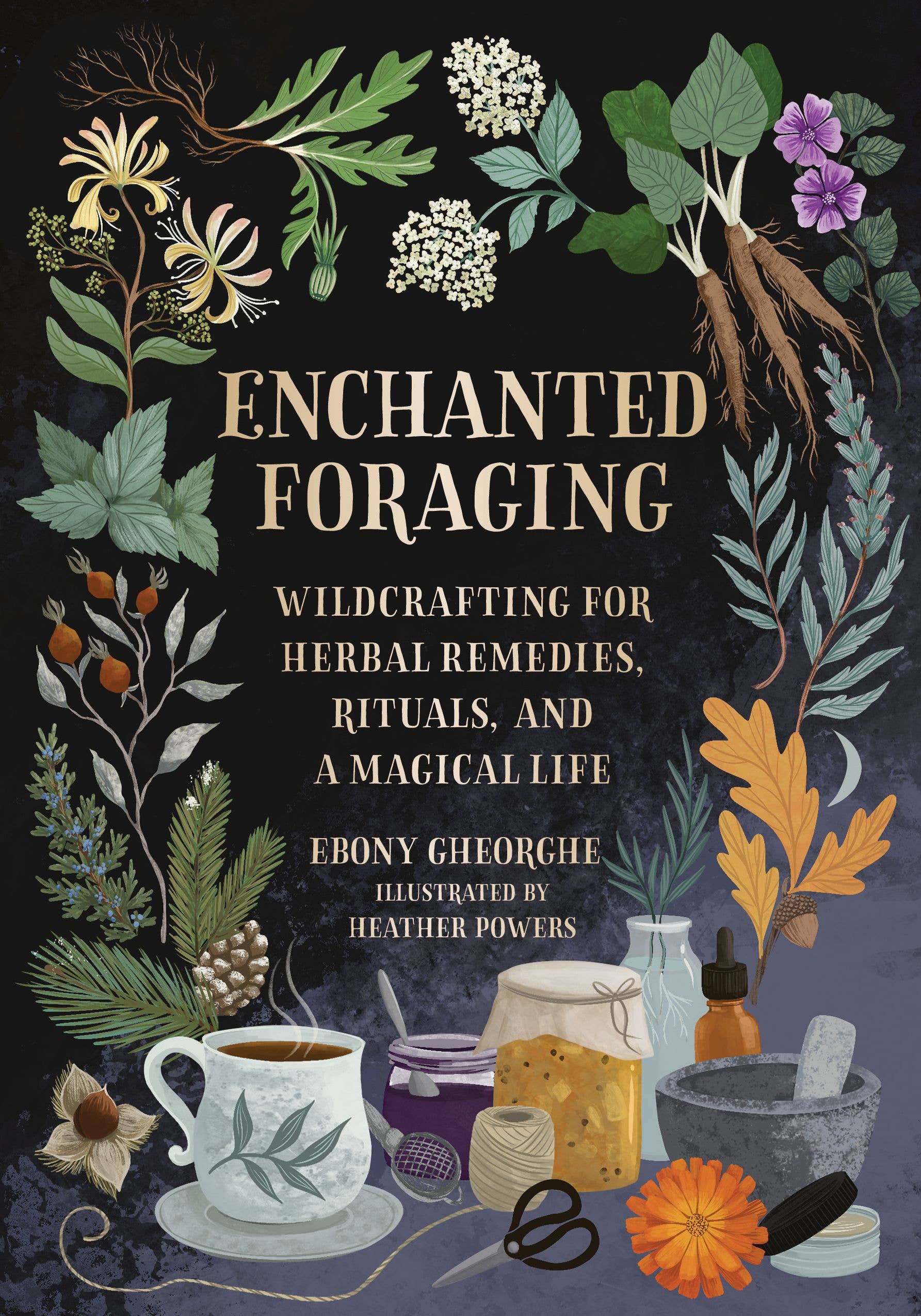 Book cover of 'Enchanted Foraging' with illustrations of herbs and a cup on a dark background.