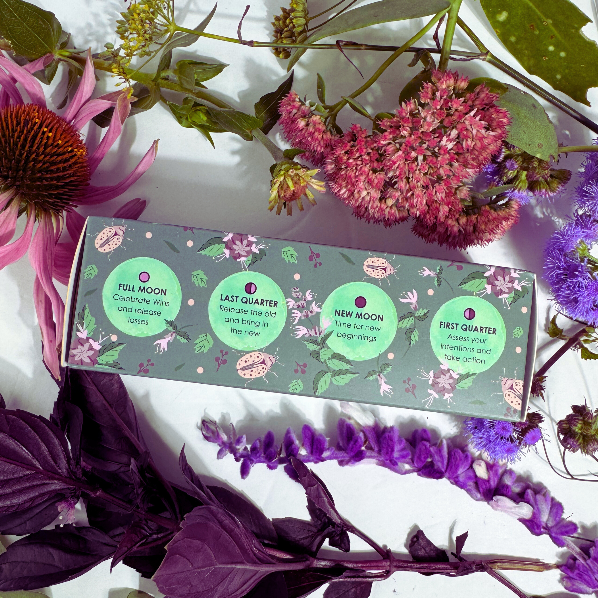 Box with astrological labels surrounded by flowers on a white background