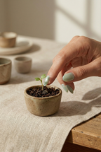 Hand placing a small plant into a pot on a textured surface