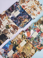 Roll of decorative paper with various patterns including animals, space, and nature.