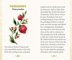 A printed page from a book or booklet about pomegranate, with the title 'POMEGRANATE' at the top left, a botanical illustration of a pomegranate branch with green leaves and red fruit, and two columns of explanatory text on a cream background.
