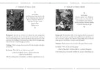 Page from a book or game manual with illustrations and text on 'Island of Giant Ants' and 'Island of Many Birds'.