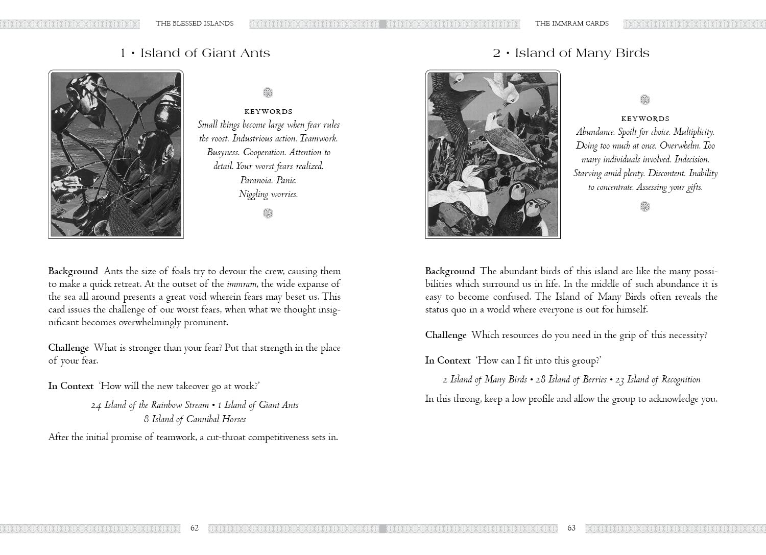 Page from a book or game manual with illustrations and text on 'Island of Giant Ants' and 'Island of Many Birds'.