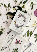 Floral cards with illustrations and text on a white background