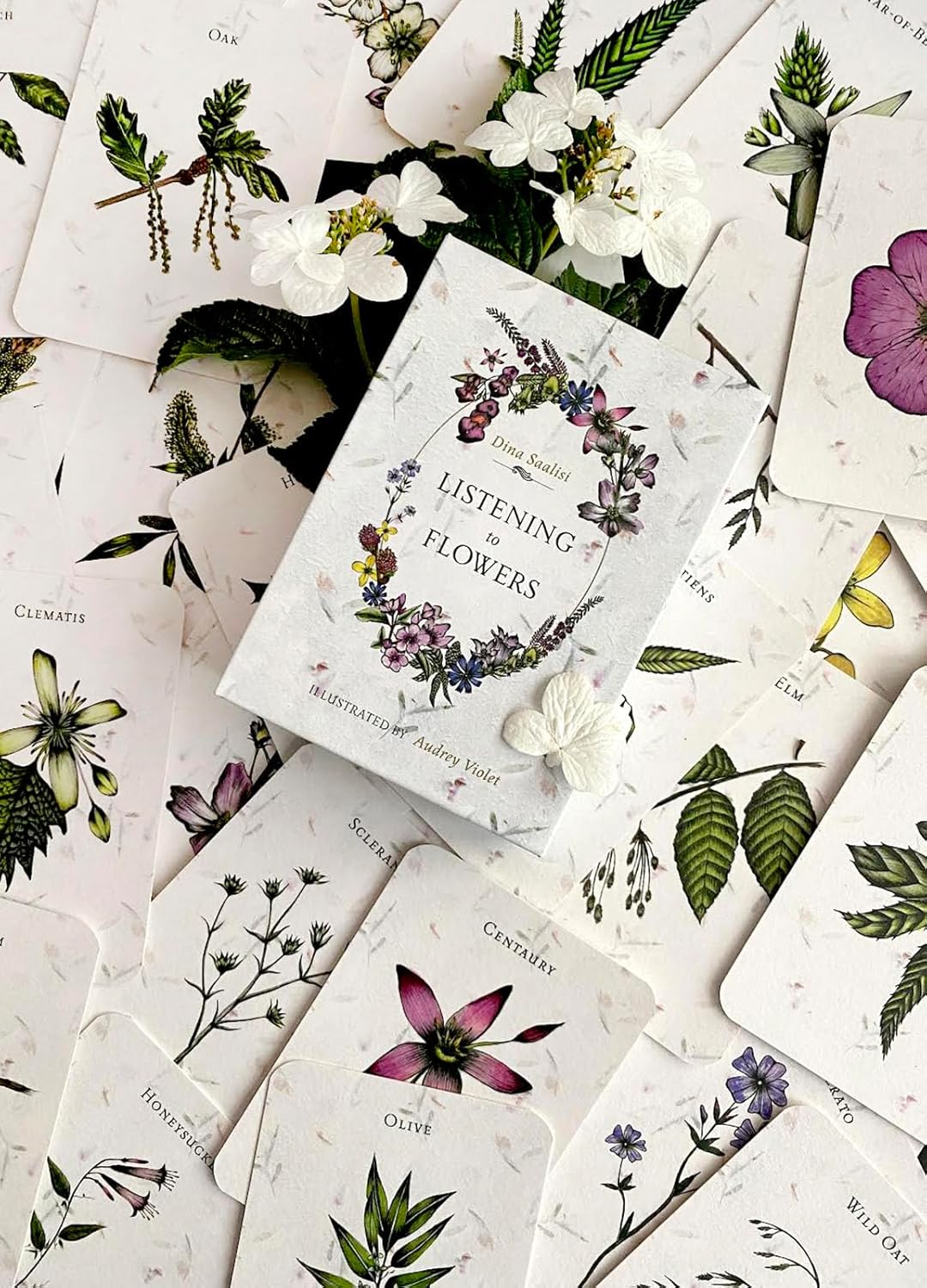 Floral cards with illustrations and text on a white background