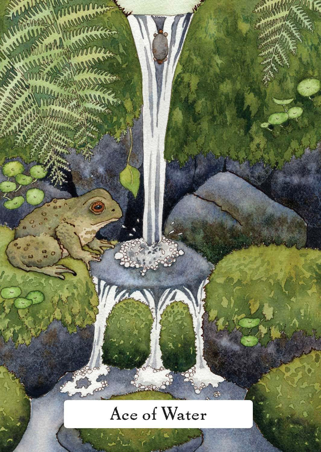 Card featuring a frog by a fountain with 'Ace of Water' text, surrounded by greenery.