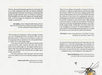 Reviews and recommendations for a tarot deck on a white background with a tarot card design.