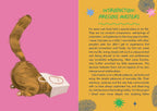 A two-page spread from a book or booklet about cats, with a pink left page showing a cartoon cat and a small white cat toy, and a yellow right page with the heading 'INTRODUCTION: PRECIOUS Masters' and a long text paragraph about cat ownership.