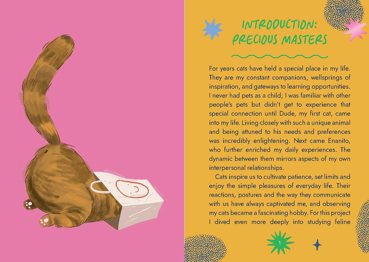 A two-page spread from a book or booklet about cats, with a pink left page showing a cartoon cat and a small white cat toy, and a yellow right page with the heading 'INTRODUCTION: PRECIOUS Masters' and a long text paragraph about cat ownership.