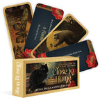 Close To Home book with tarot card design featuring animals and nature