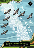 Card with illustration of Canada geese flying over water, labeled 'Elder Canada Goose'.