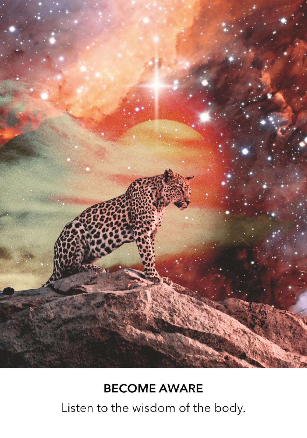 Leopard on a rocky outcrop with a cosmic background and text 'BECOME AWARE Listen to the wisdom of the body.'