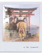 Wild Lands Tarot