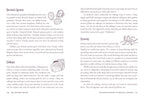 Page from a book titled 'The Kitchen Witch' with text and illustrations of vegetables.