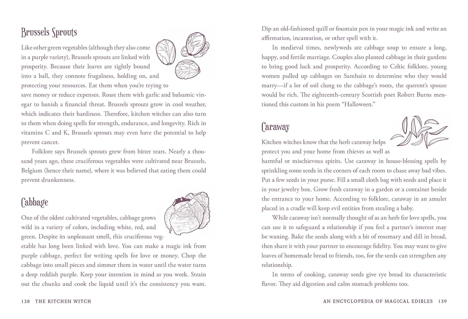 Page from a book titled 'The Kitchen Witch' with text and illustrations of vegetables.