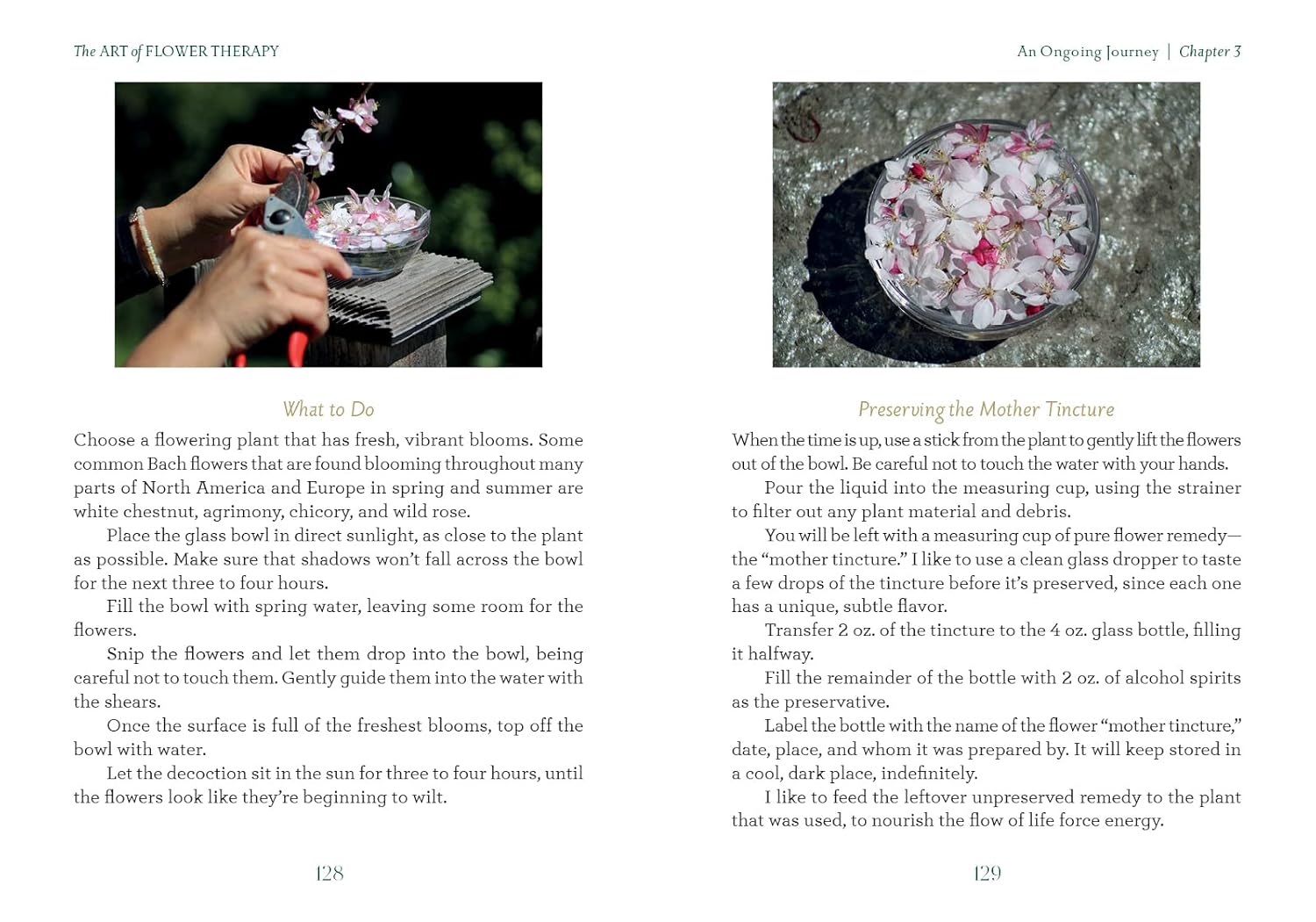 Book page with instructions on flower therapy, featuring images of hands holding flowers and a bowl with flowers.