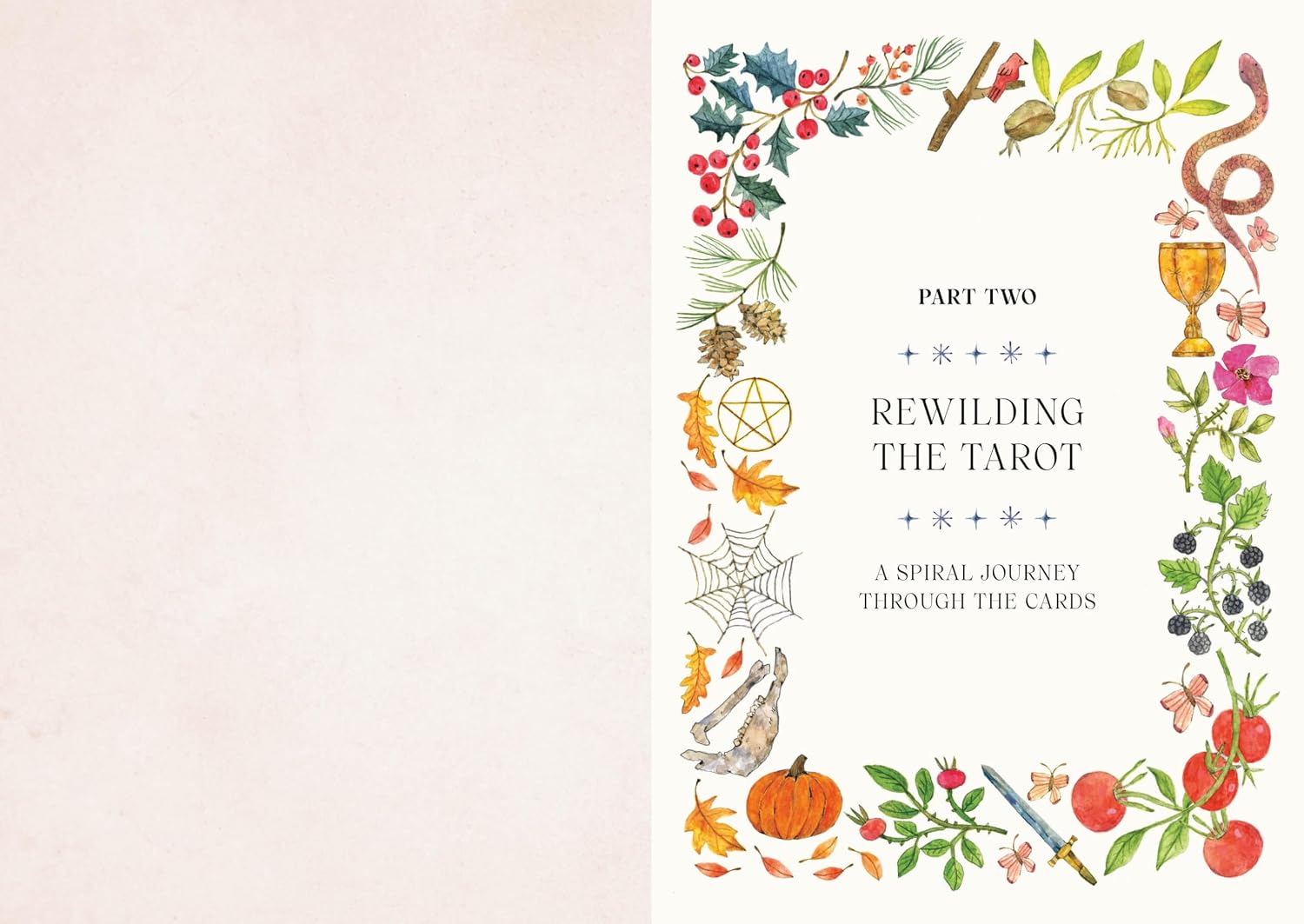 Tarot For the Wild Soul