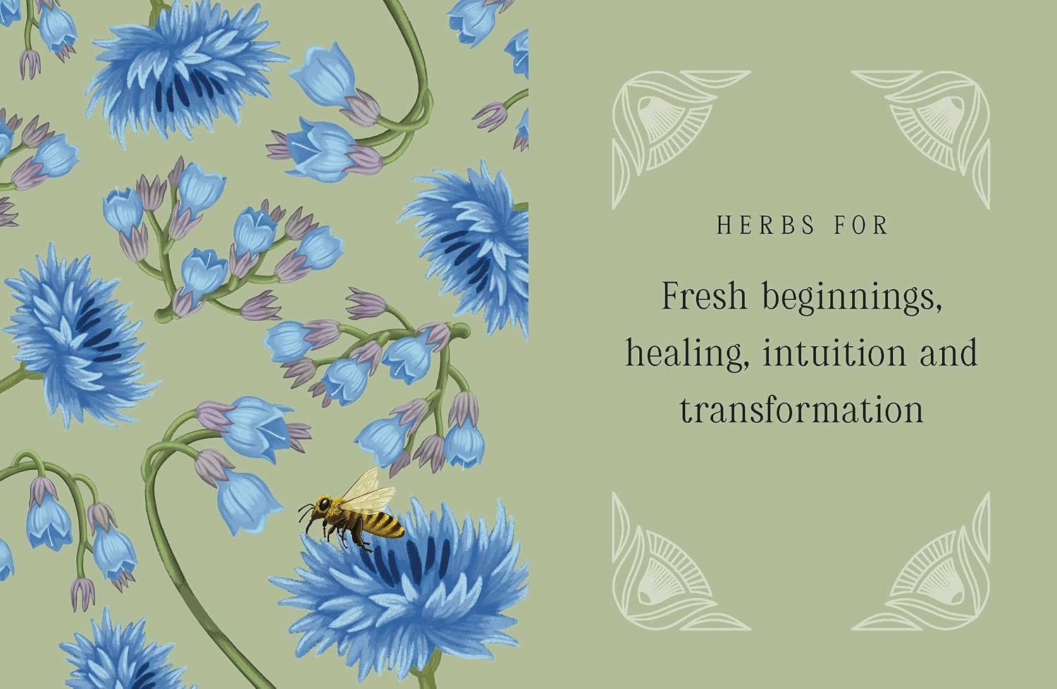 Illustration of blue flowers with a bee on a green background, featuring text about herbs for fresh beginnings, healing, intuition, and transformation.