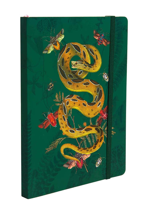 Green notebook with a snake and butterfly design on a white background