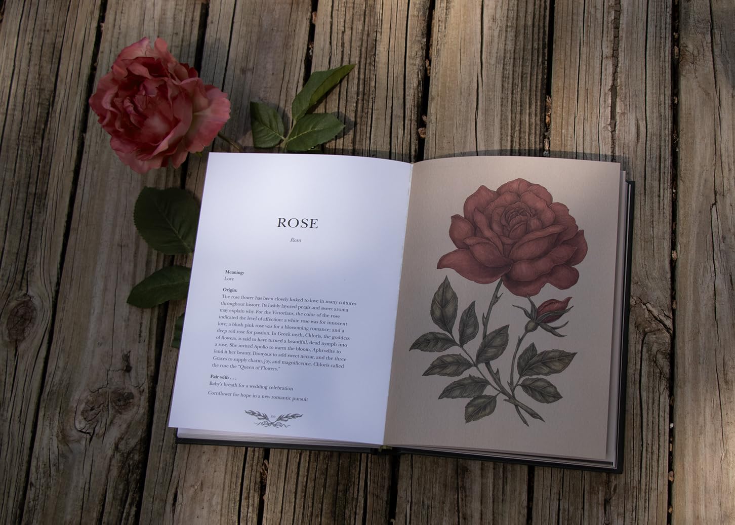 Open book with a red rose illustration and text on a wooden surface