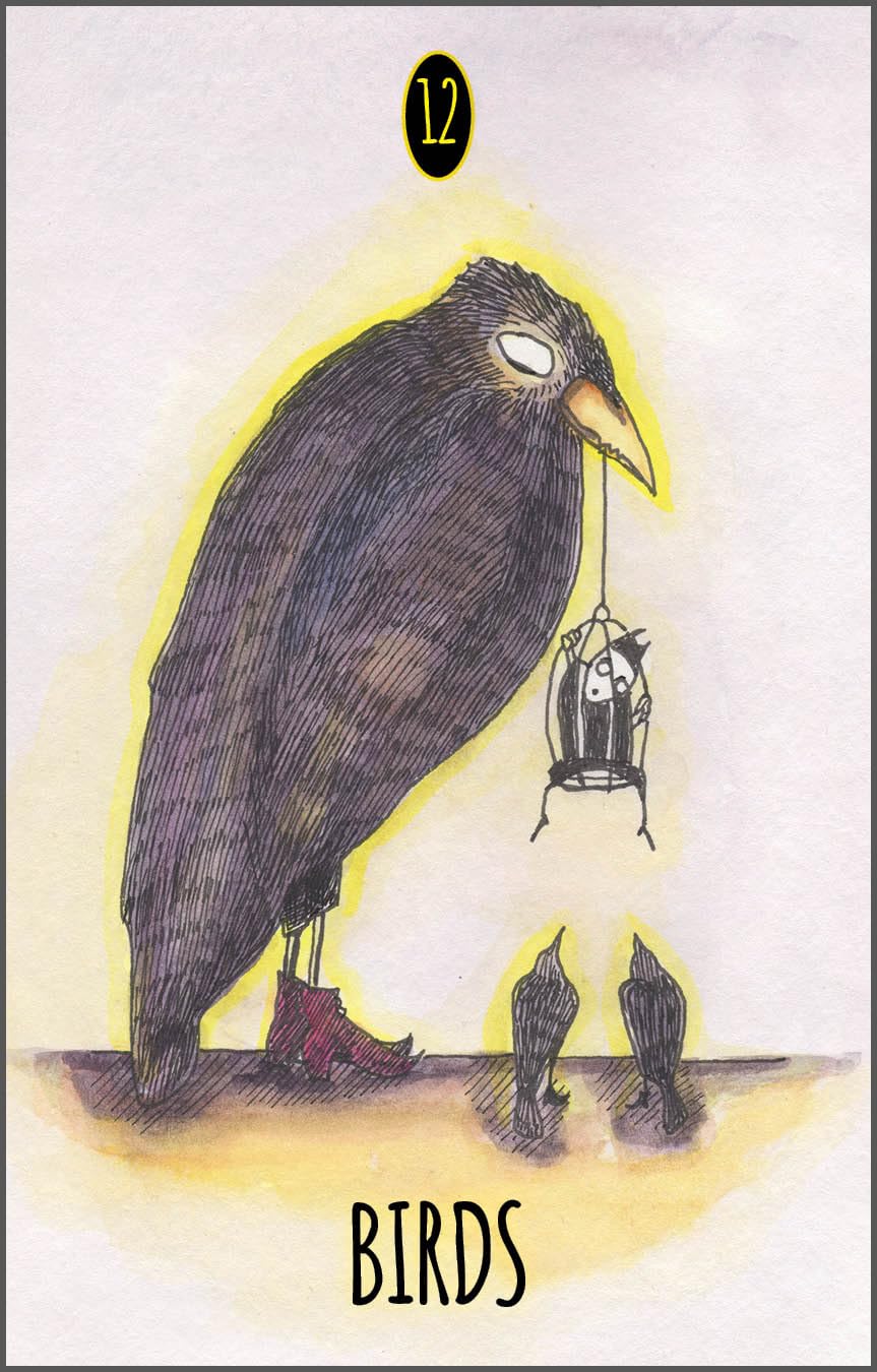 Illustration of a large bird with a smaller bird in a cage, labeled '12 Birds'.