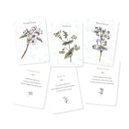 Set of five botanical cards with illustrations and text on a white background