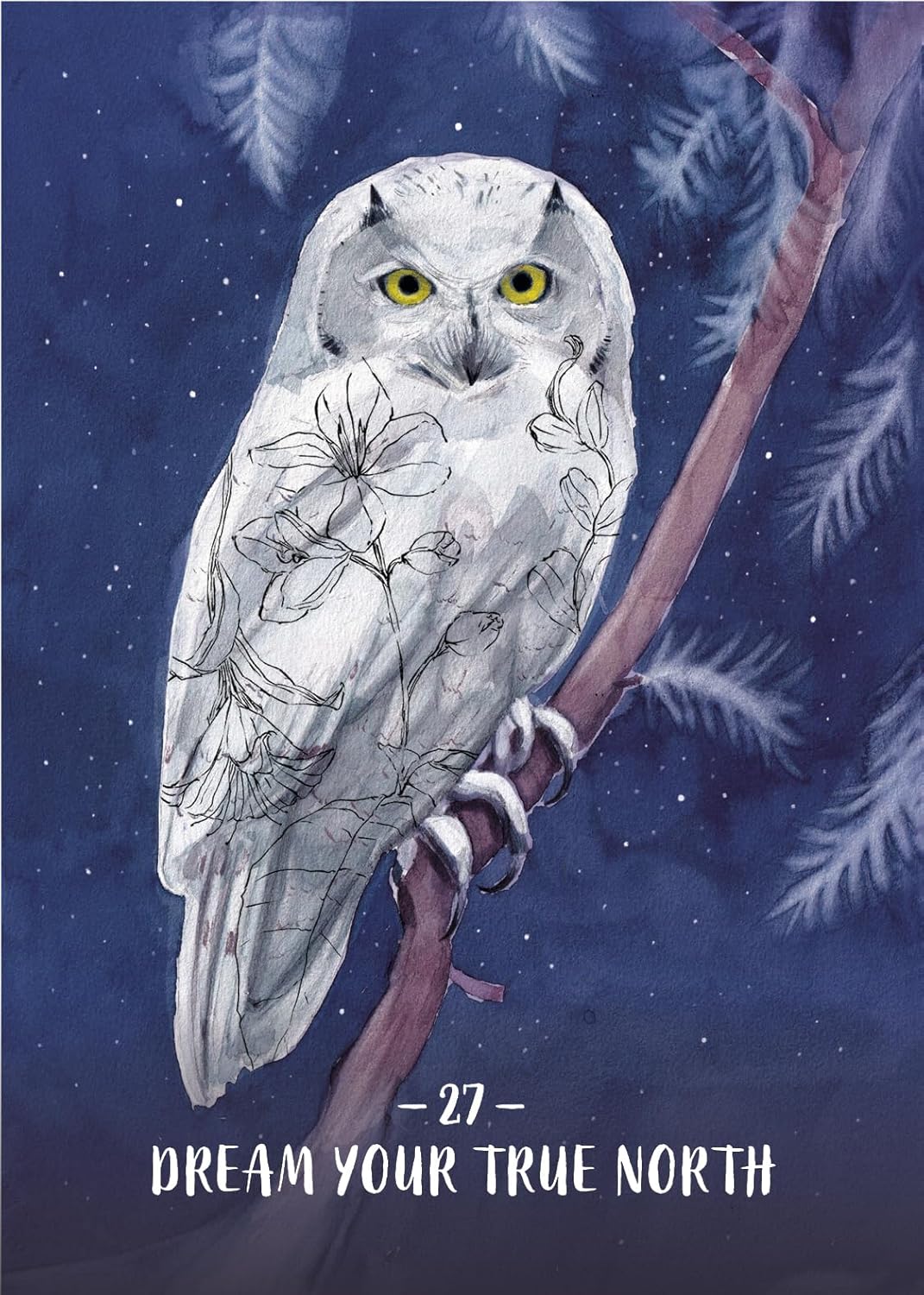 Illustration of an owl perched on a branch with a starry night background and 'Dream Your True North' text.
