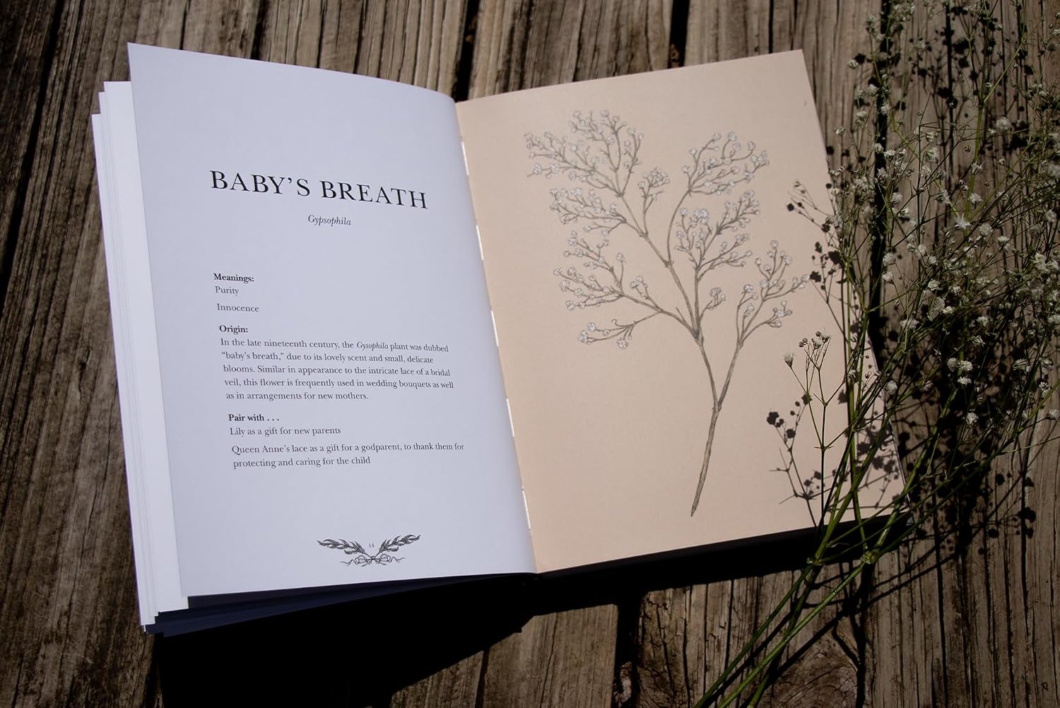 Open book with text and illustration of baby's breath on a wooden surface