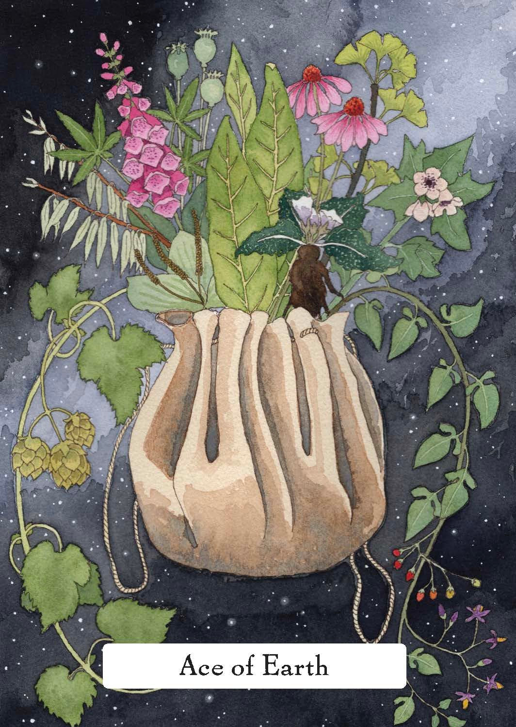 Illustration of a bag with plants and flowers labeled 'Ace of Earth' against a dark background.