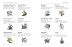 Illustrations of various flowers with labels on a white background