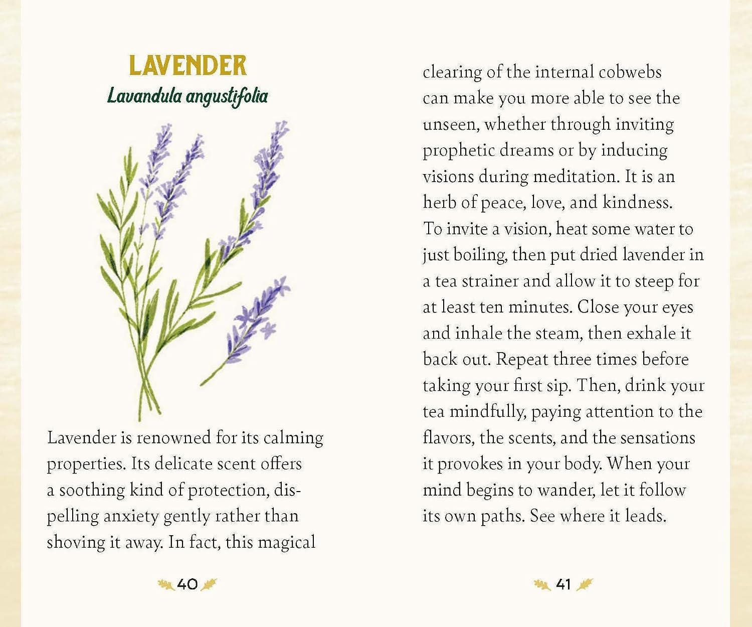 A printed page titled 'LAVENDER' with a botanical illustration of lavender sprigs, accompanied by two columns of text describing the herb and its calming properties on a cream background.
